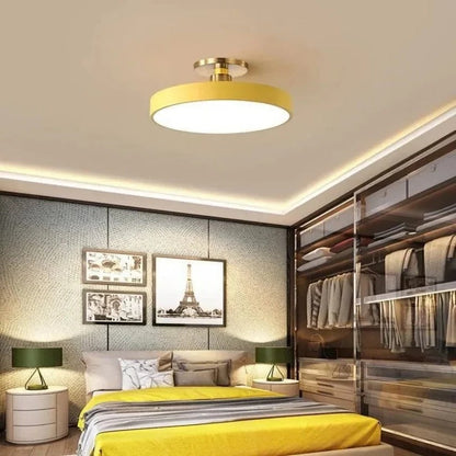 Modern LED Ceiling Light Fixture for Indoor Lighting