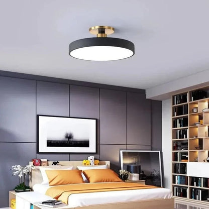 Modern LED Ceiling Light Fixture for Indoor Lighting