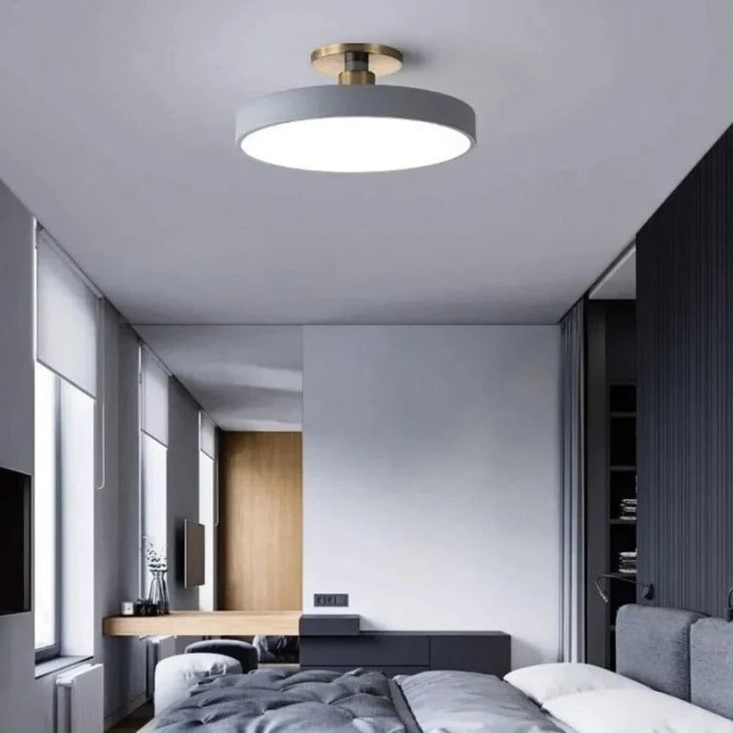 Modern LED Ceiling Light Fixture for Indoor Lighting