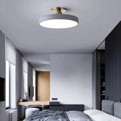 Modern LED Ceiling Light Fixture for Indoor Lighting