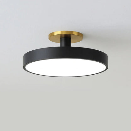 Modern LED Ceiling Light Fixture for Indoor Lighting