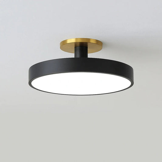 Modern LED Ceiling Light Fixture for Indoor Lighting