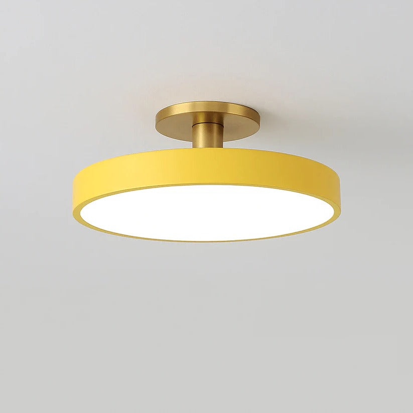 Modern LED Ceiling Light Fixture for Indoor Lighting
