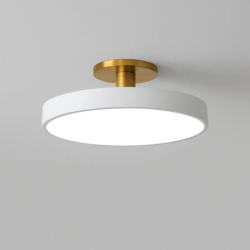 Modern LED Ceiling Light Fixture for Indoor Lighting