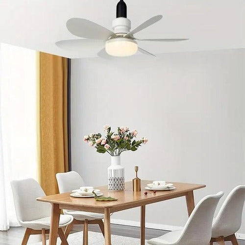 Modern Ceiling Fan with Remote Control
