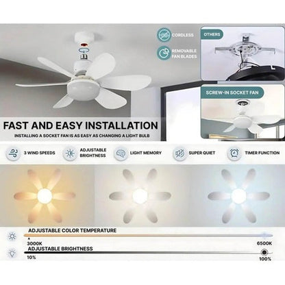 Modern Ceiling Fan with Remote Control