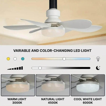 Modern Ceiling Fan with Remote Control