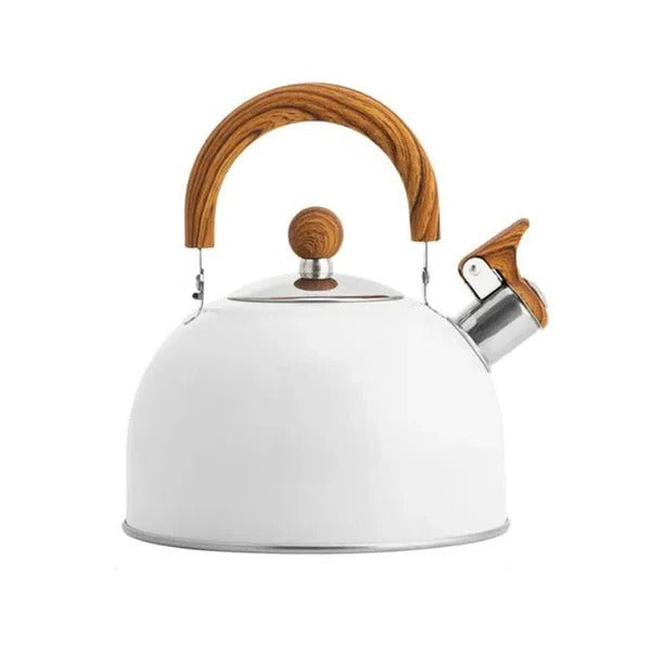 Stainless Steel Whistling Kettle for Stovetop