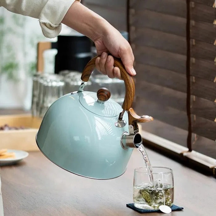 Stainless Steel Whistling Kettle for Stovetop