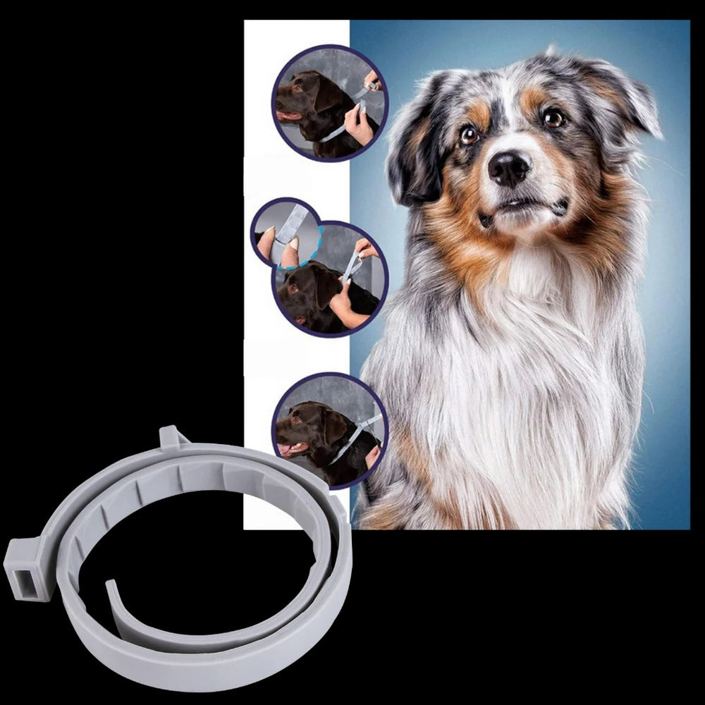 Flea & Tick Protection Collar for Pets