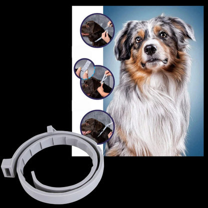 Flea & Tick Protection Collar for Pets