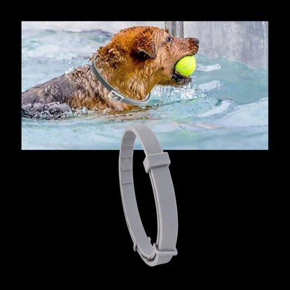 Flea & Tick Protection Collar for Pets