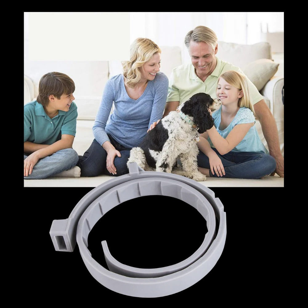 Flea & Tick Protection Collar for Pets