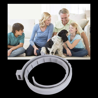 Flea & Tick Protection Collar for Pets