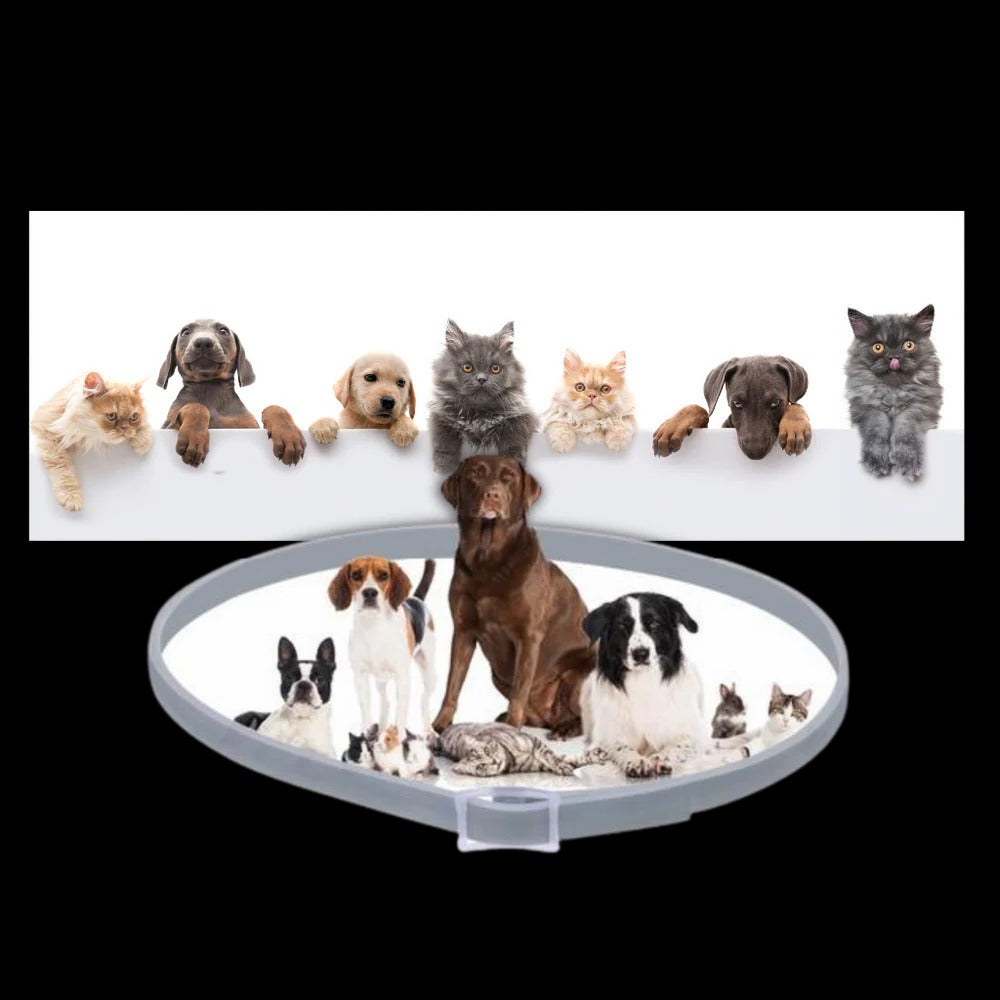 Flea & Tick Protection Collar for Pets