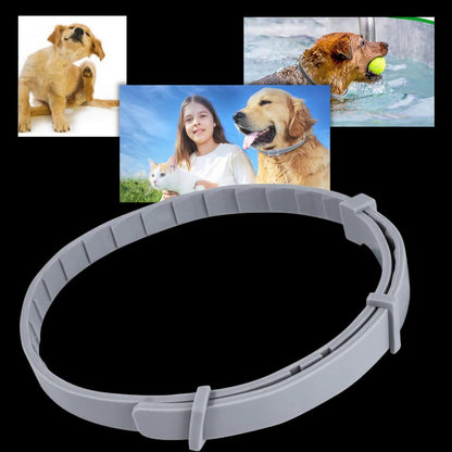 Flea & Tick Protection Collar for Pets
