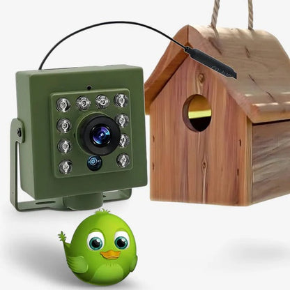 HD WiFi Bird Nest Camera for Outdoor Viewing