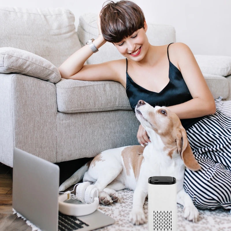 Portable Pet Air Purifier for Home Use