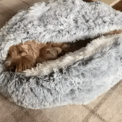 Calming Cave Pet Bed Cozy Hooded Dog Cat Bed