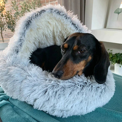 Calming Cave Pet Bed Cozy Hooded Dog Cat Bed