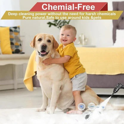 High Pressure Steam Cleaner for Home Use