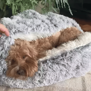 Calming Cave Pet Bed Cozy Hooded Dog Cat Bed