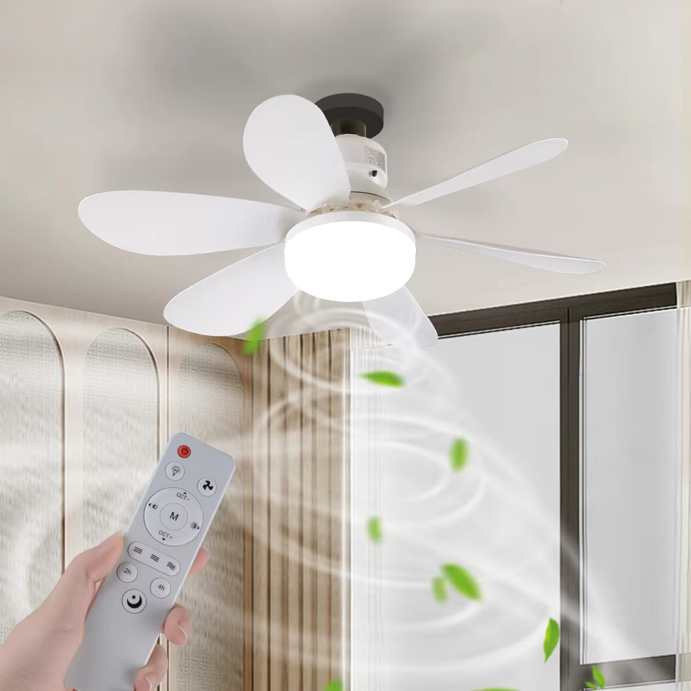 Ceiling Fan Light