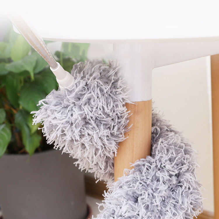 Extendable Dust Brush