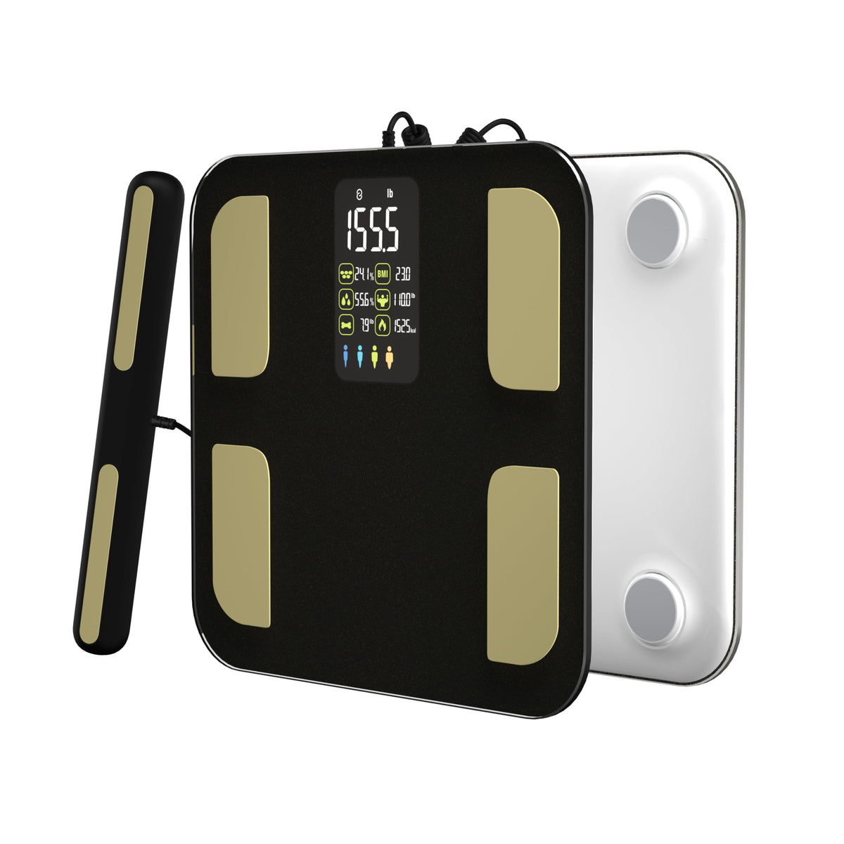 Digital Body Composition Scale