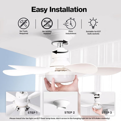 Ceiling Fan Light
