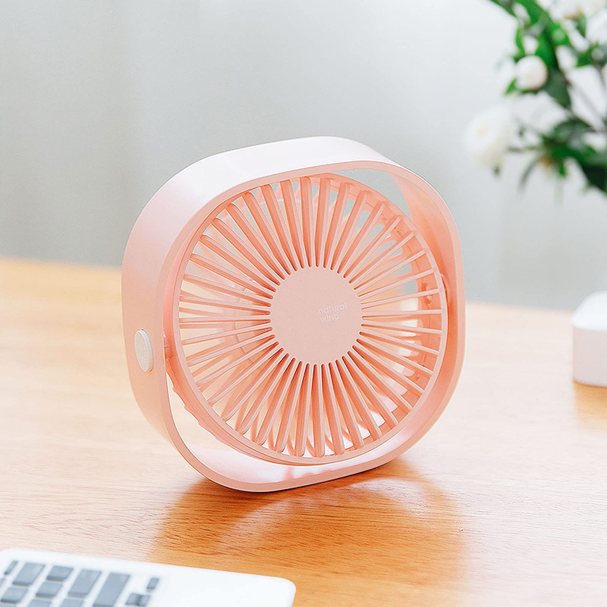 Portable Desk Fan
