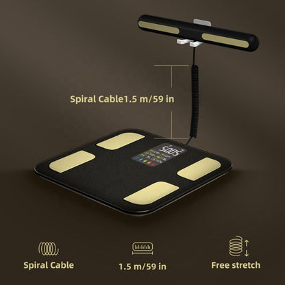Digital Body Composition Scale