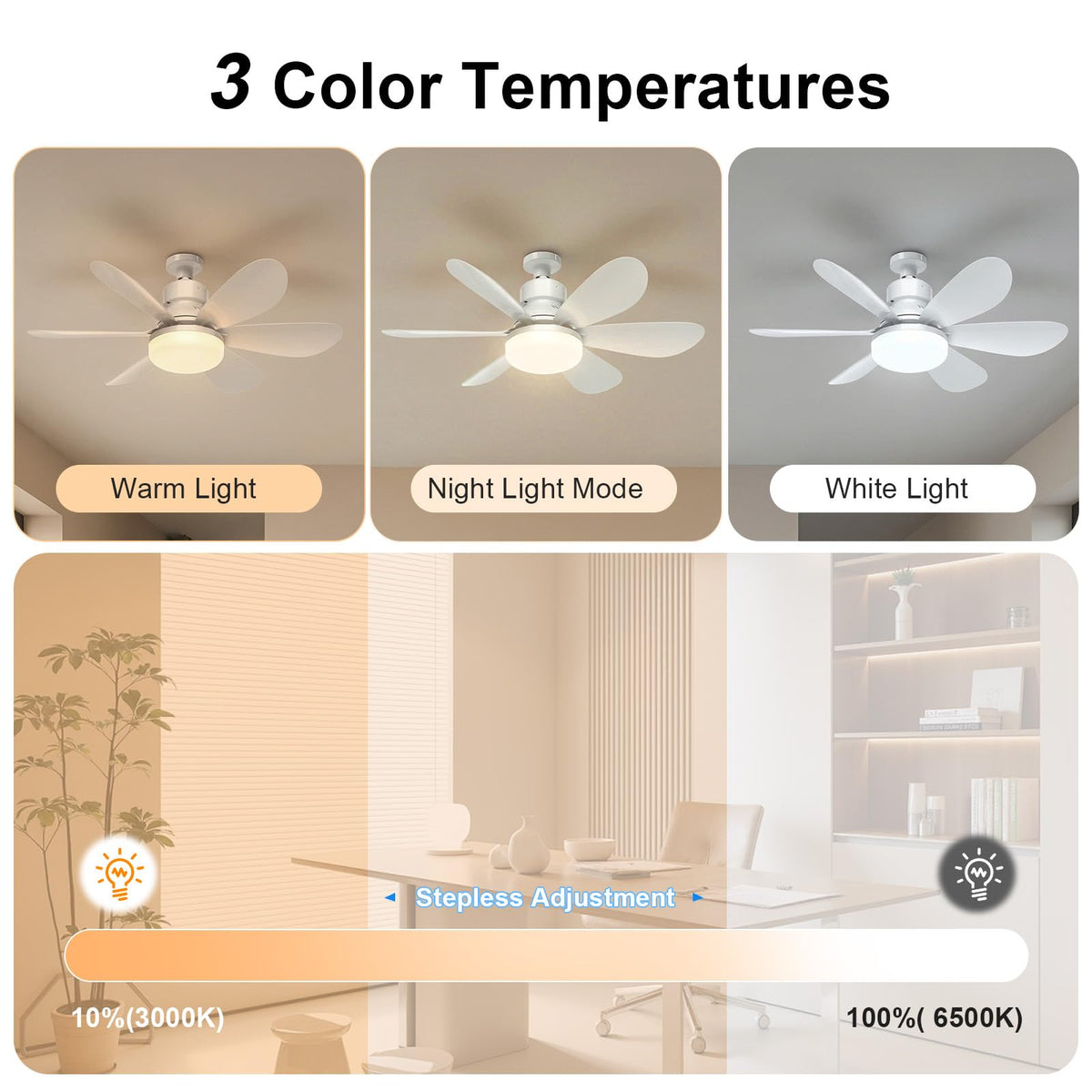 Ceiling Fan Light