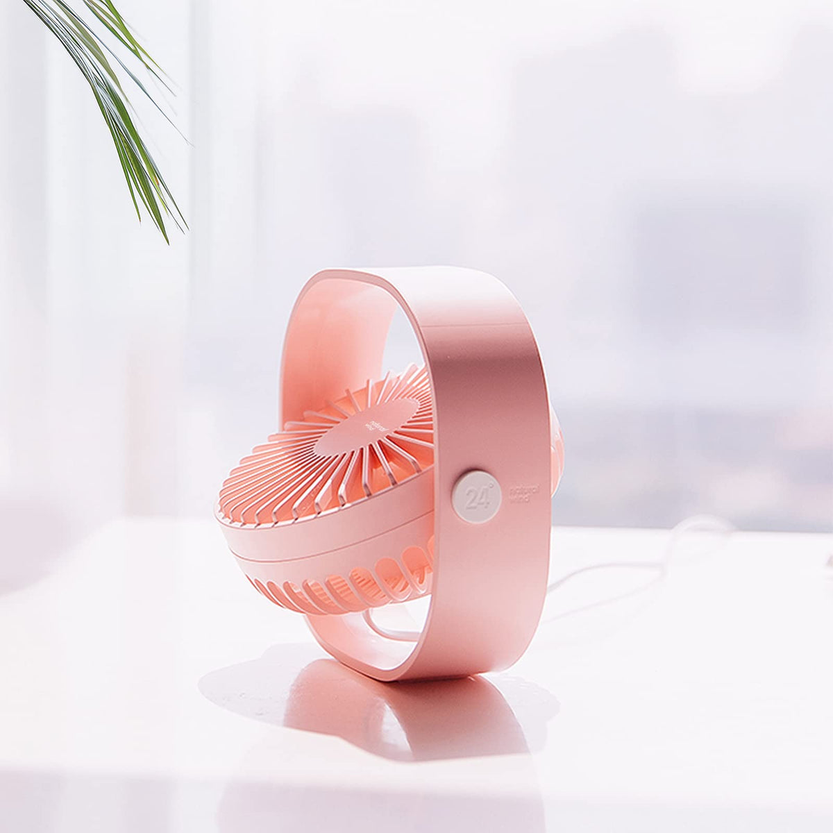 Portable Desk Fan