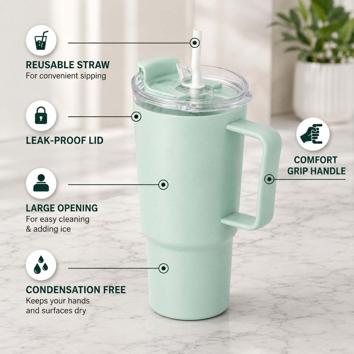 Tumbler with Handle & Straw