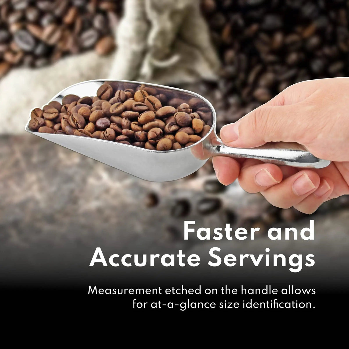 Stainless Steel Ice Scoop