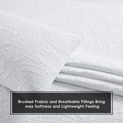 Soft Lightweight Coin Pattern Bedding Set