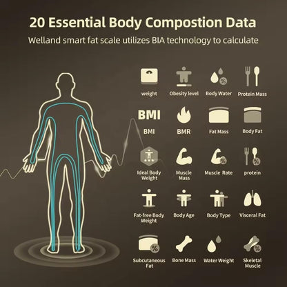 Digital Body Composition Scale