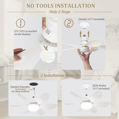 Ceiling Fan Light