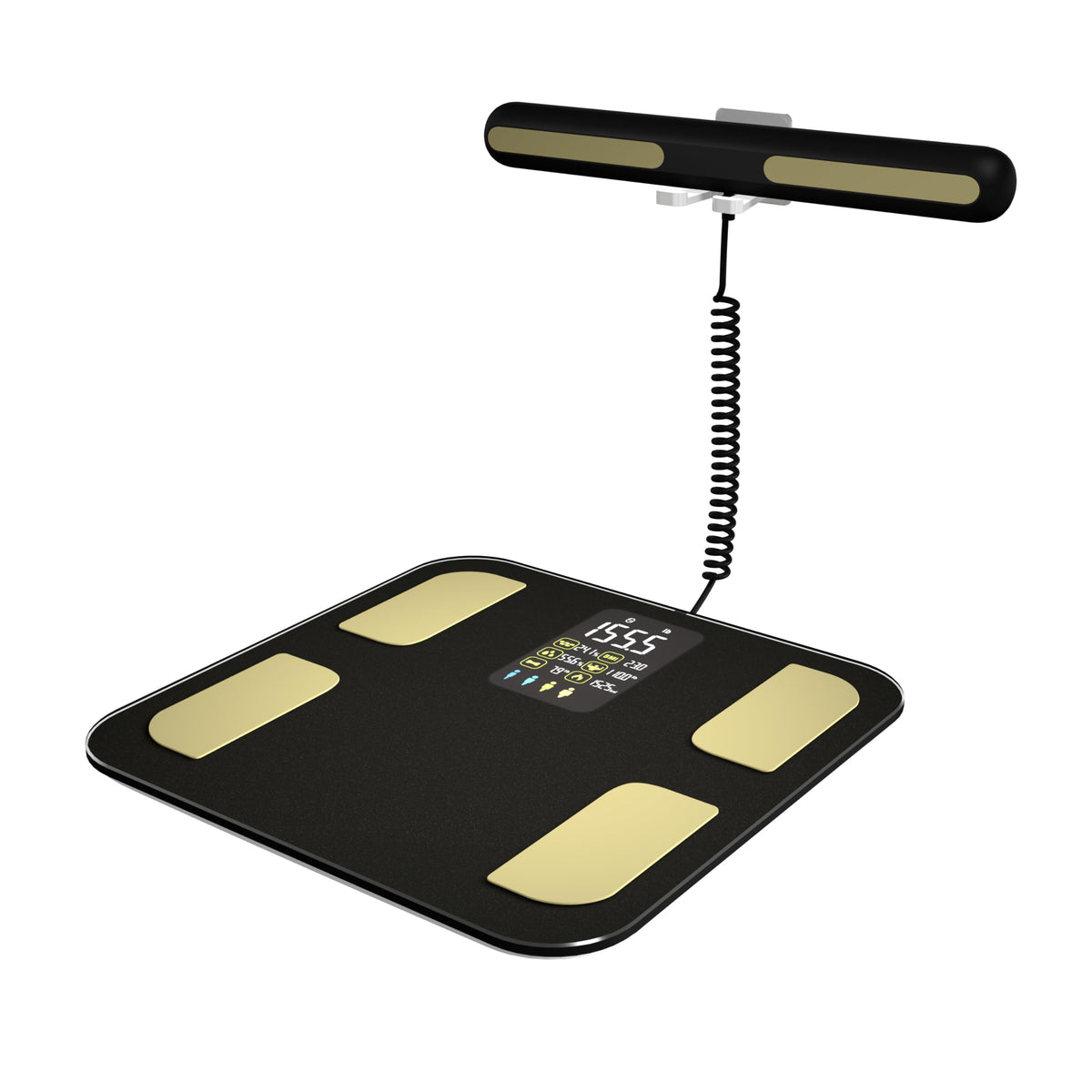 Digital Body Composition Scale