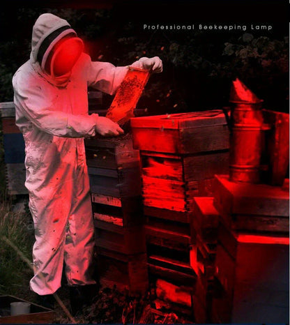 Powerful LED Headlamp for Outdoors, Camping & Work