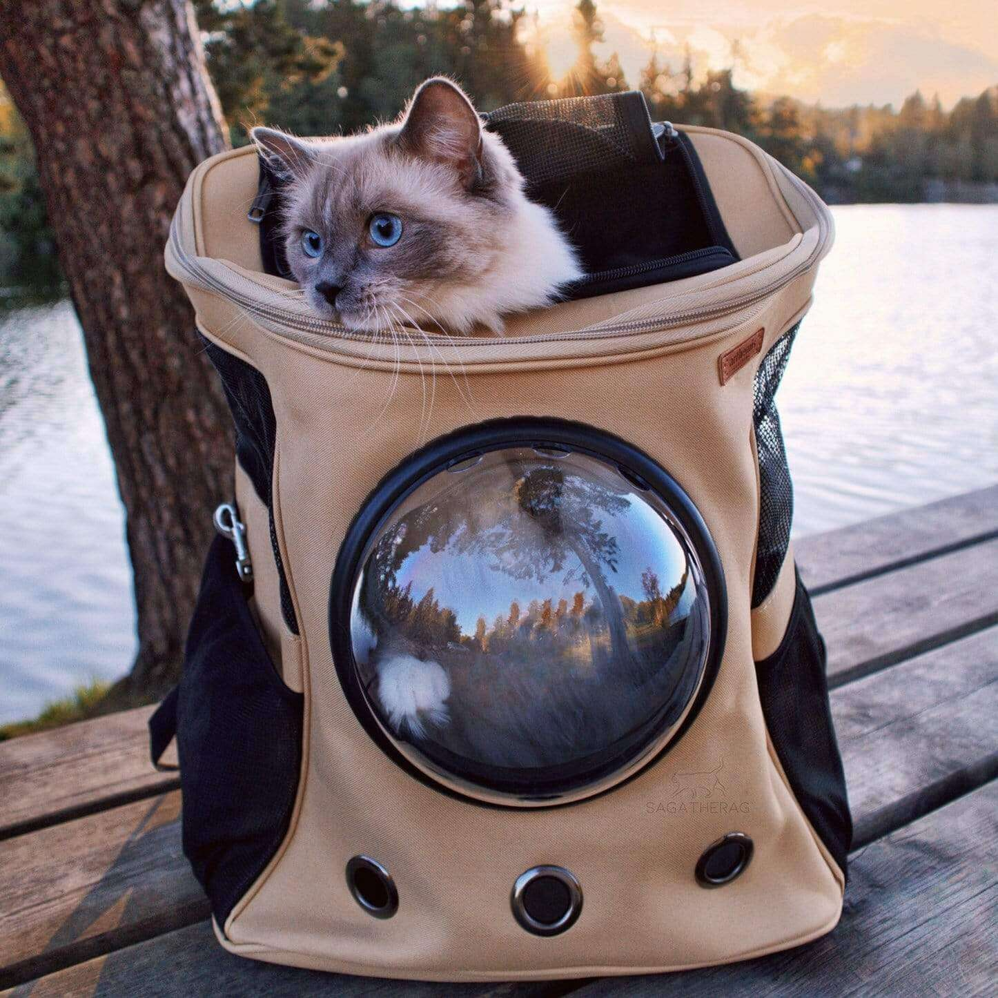 Large Cat Travel Backpack with Bubble Window – Up to 25lb