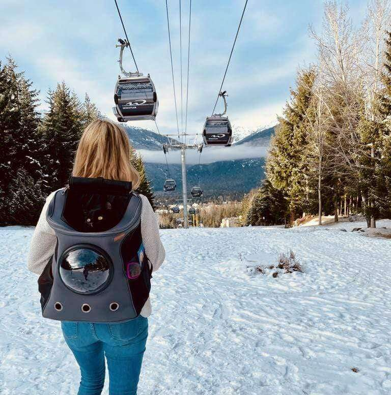 Large Cat Travel Backpack with Bubble Window – Up to 25lb