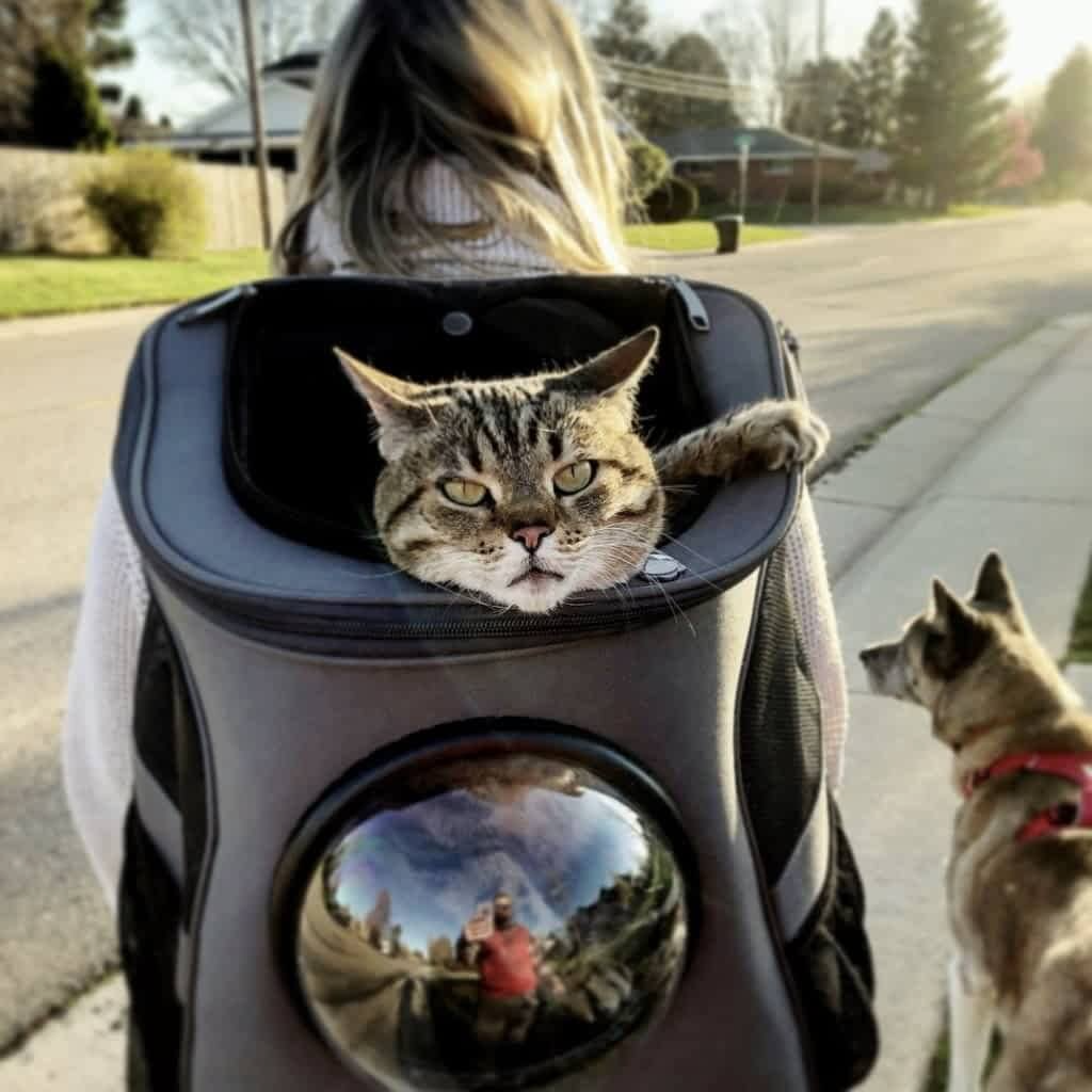 Large Cat Travel Backpack with Bubble Window – Up to 25lb