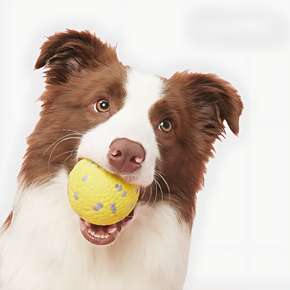Calming Dog Ball Interactive Anxiety Relief Toy