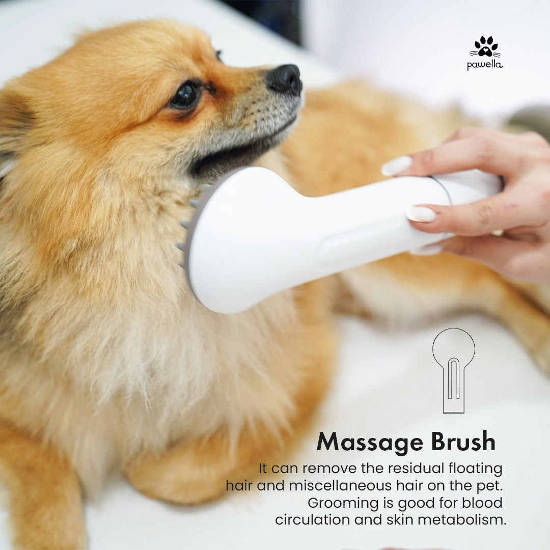 Pet Grooming Vacuum Kit – 5 Tools with 2.5L Dust Cup