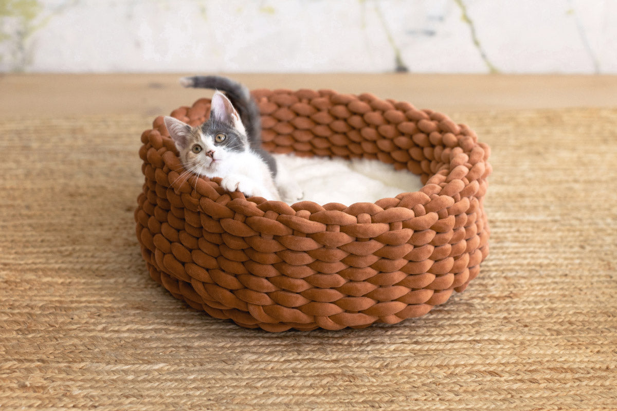 Modern Cat Bed image 1