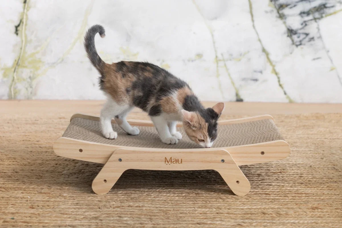 Modern Cat Scratcher image 1