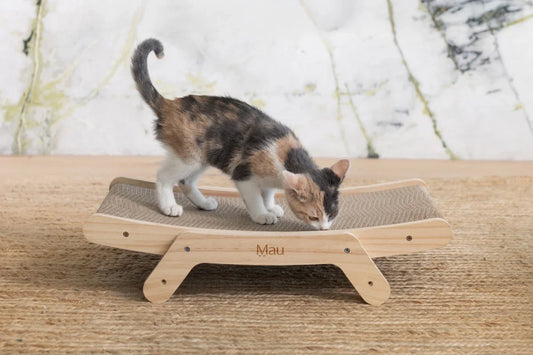 Modern Cat Scratcher image 1