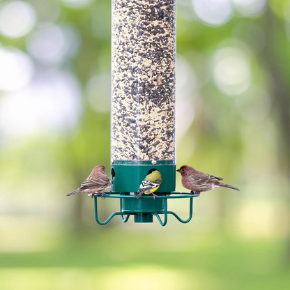 Squirrel-Resistant Bird Feeder
